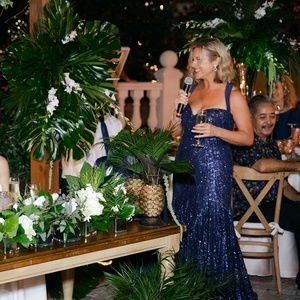 Gorgeous Ellie Wilde embroidery applique, glitter tulle & mermaid gown